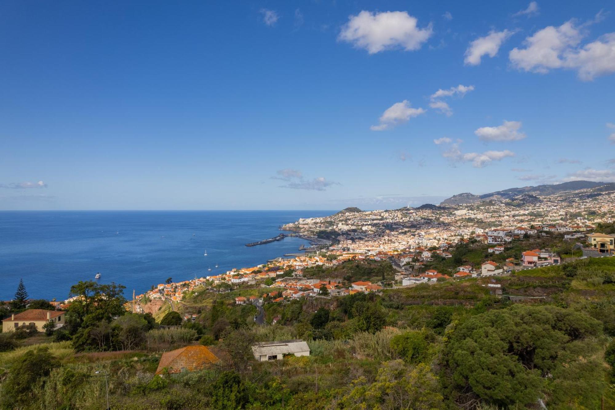 Flh Papaya Villa With Sea View Funchal  Zewnętrze zdjęcie